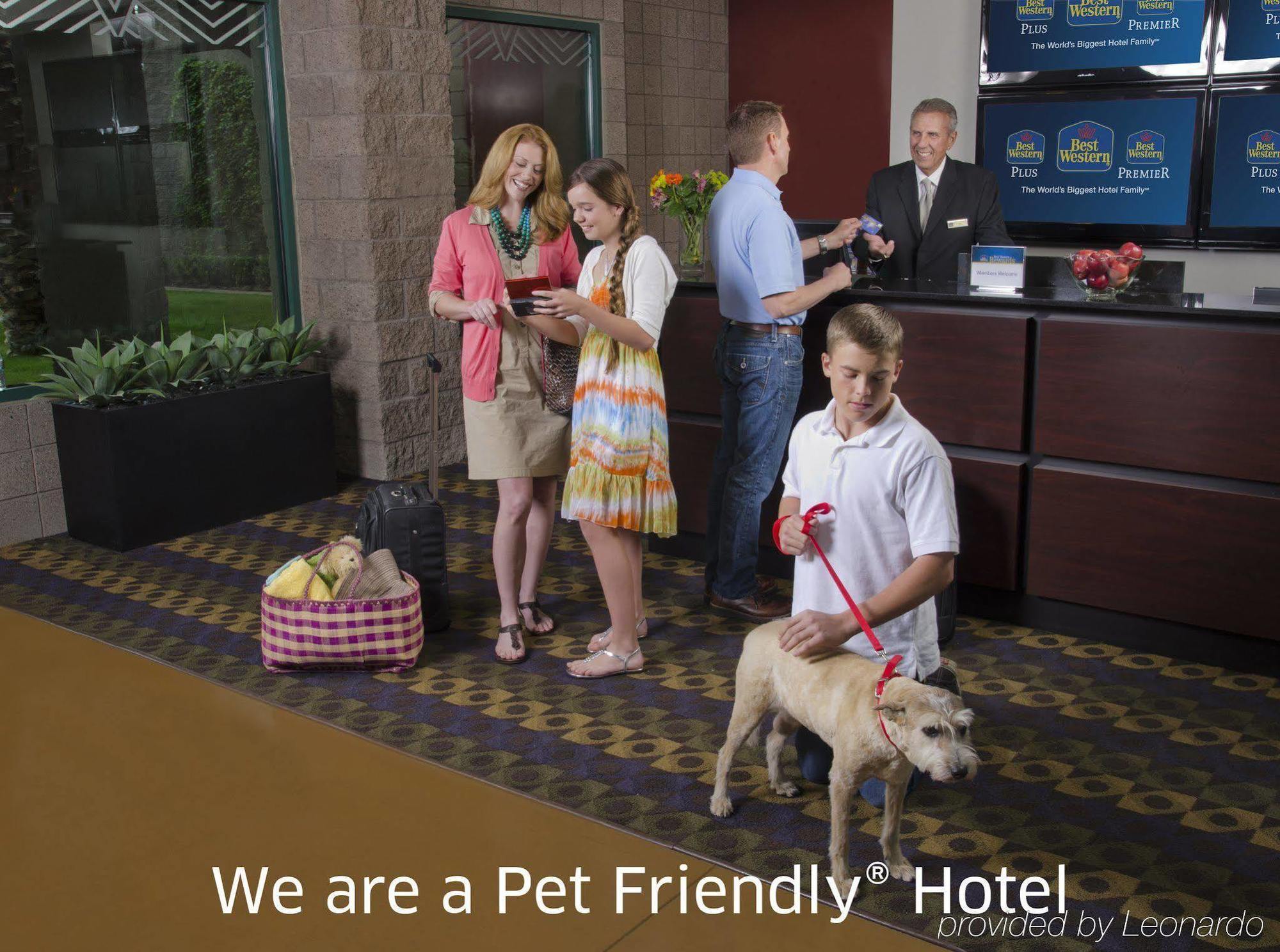 Hotel Western Elsinore & 3*